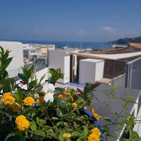 Sunlux Maison Forio di Ischia